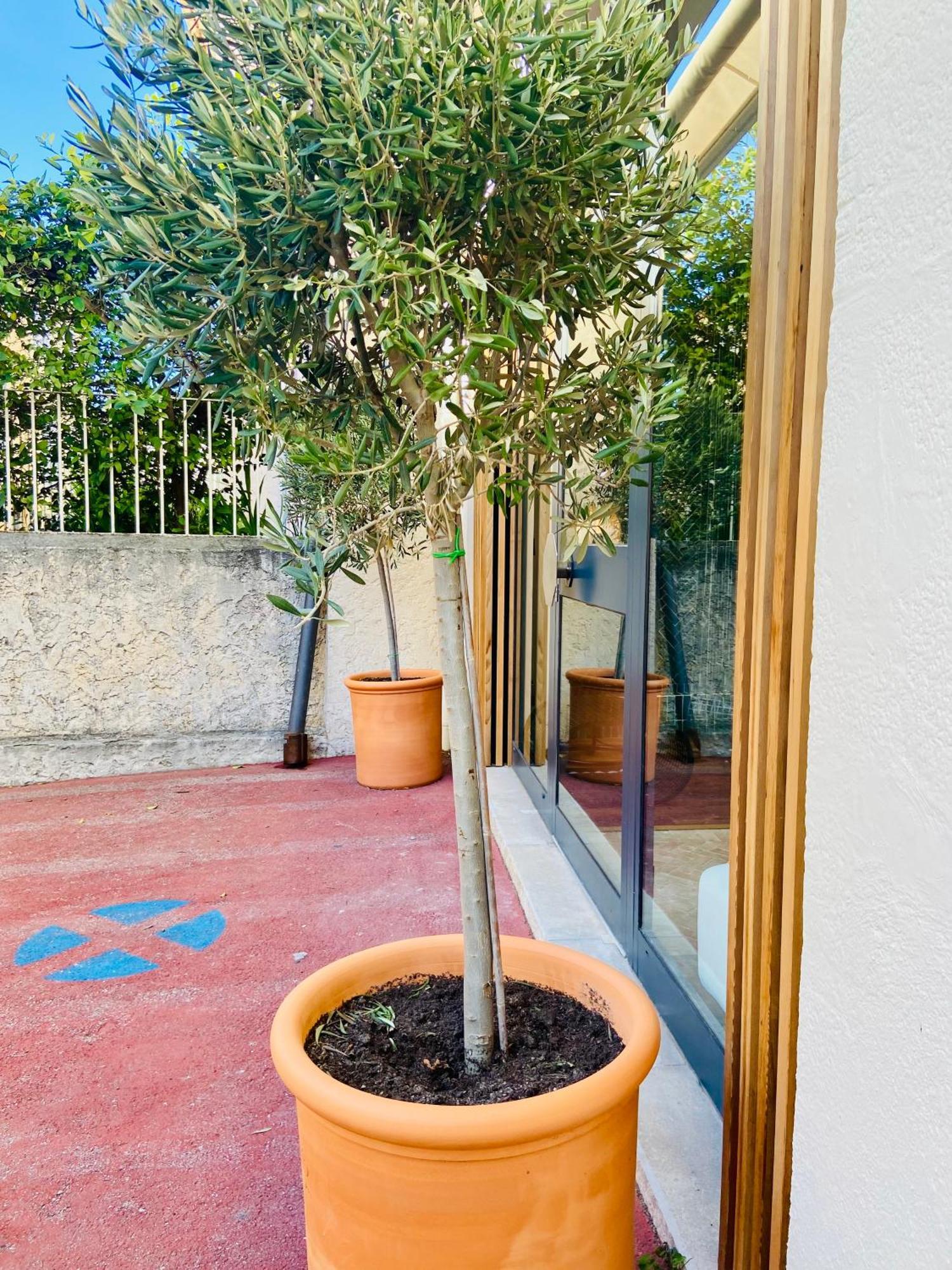 Apartment Grande Terrasse Emplacement Au A 1 Minute De La A Pieds Cassis